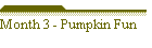 Month 3 - Pumpkin Fun
